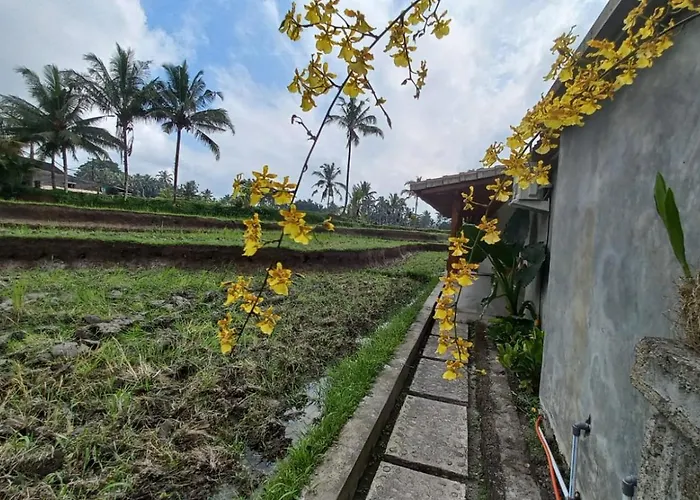 Rumah Kemuning Bali *