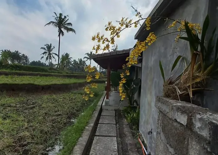 Accommodatie bij particulieren Rumah Kemuning Bali