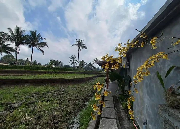 Accommodatie bij particulieren Rumah Kemuning Bali Payangan