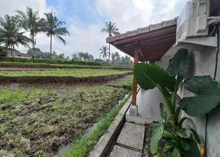 Rumah Kemuning Bali Accommodatie bij particulieren *