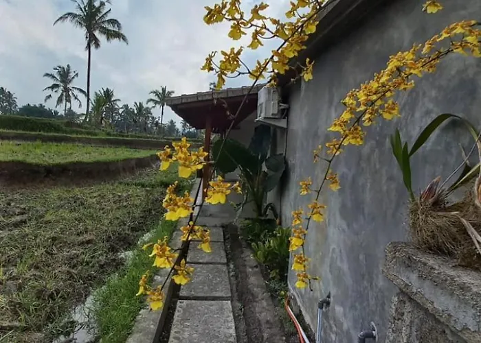 Accommodatie bij particulieren Rumah Kemuning Bali