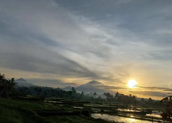 Rumah Kemuning Bali Payangan