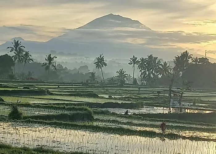 Accommodatie bij particulieren Rumah Kemuning Bali Payangan