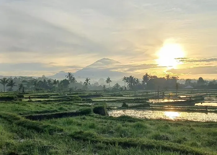 Rumah Kemuning Bali * Payangan