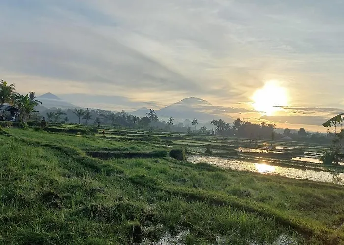 Rumah Kemuning Bali Accommodatie bij particulieren *