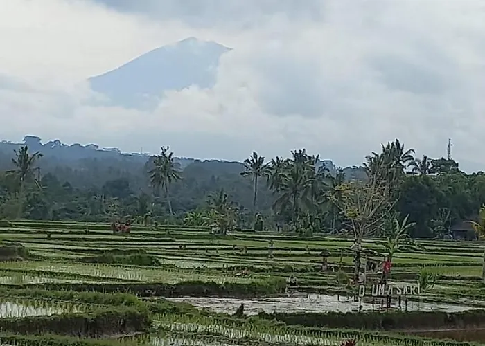 Rumah Kemuning Bali *