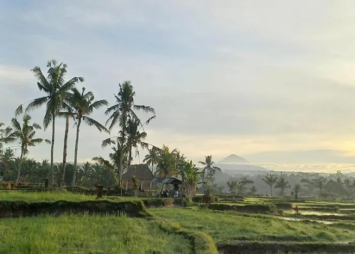 Rumah Kemuning Bali Accommodatie bij particulieren