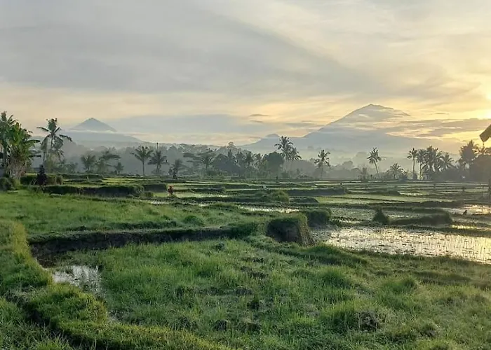 Accommodatie bij particulieren Rumah Kemuning Bali